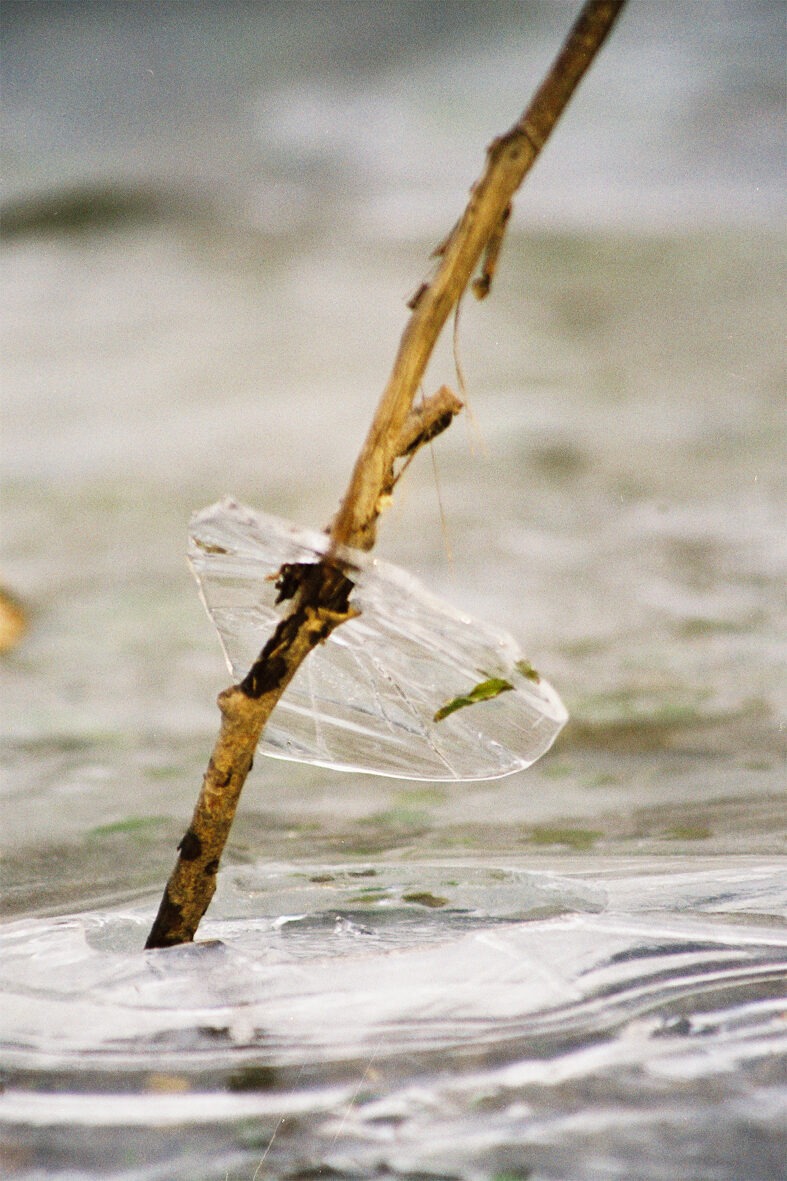 photo paysage marne - tirage d art clos gallice - photographe pernay dominique borgnet