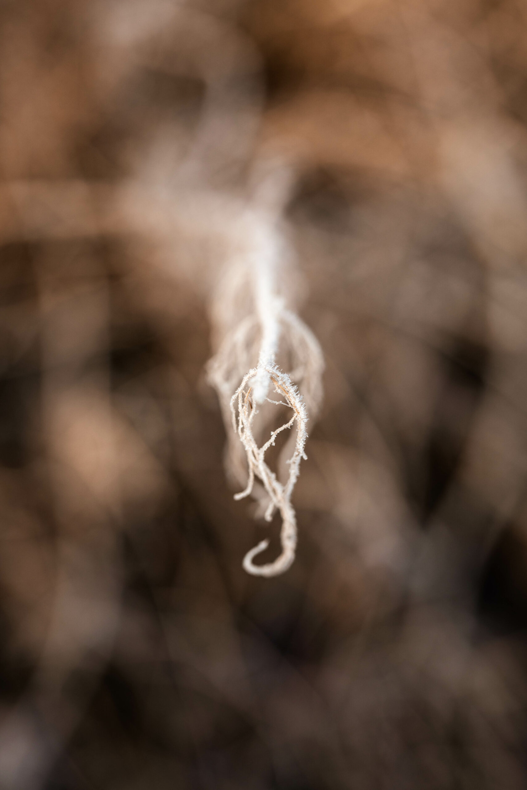 tirage d'art epernay - photo paysage campagne marne - dominique borgnet